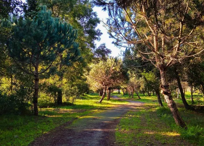 Sea Twins Vila Praia de Mira