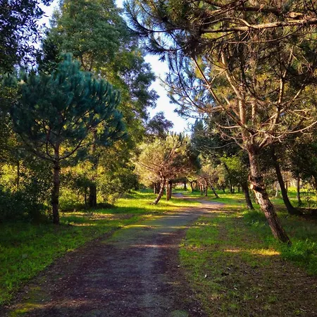 Sea Twins Willa Praia de Mira